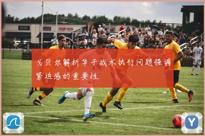 戈贝尔解析华子战术执行问题强调紧迫感的重要性